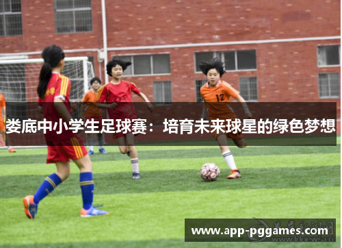 娄底中小学生足球赛:培育未来球星的绿色梦想 娄底中小学生足球赛:培育未来球星的绿色梦想